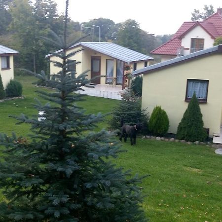 Domki Letniskowe W Wapnicy Villa Lubin  Ngoại thất bức ảnh